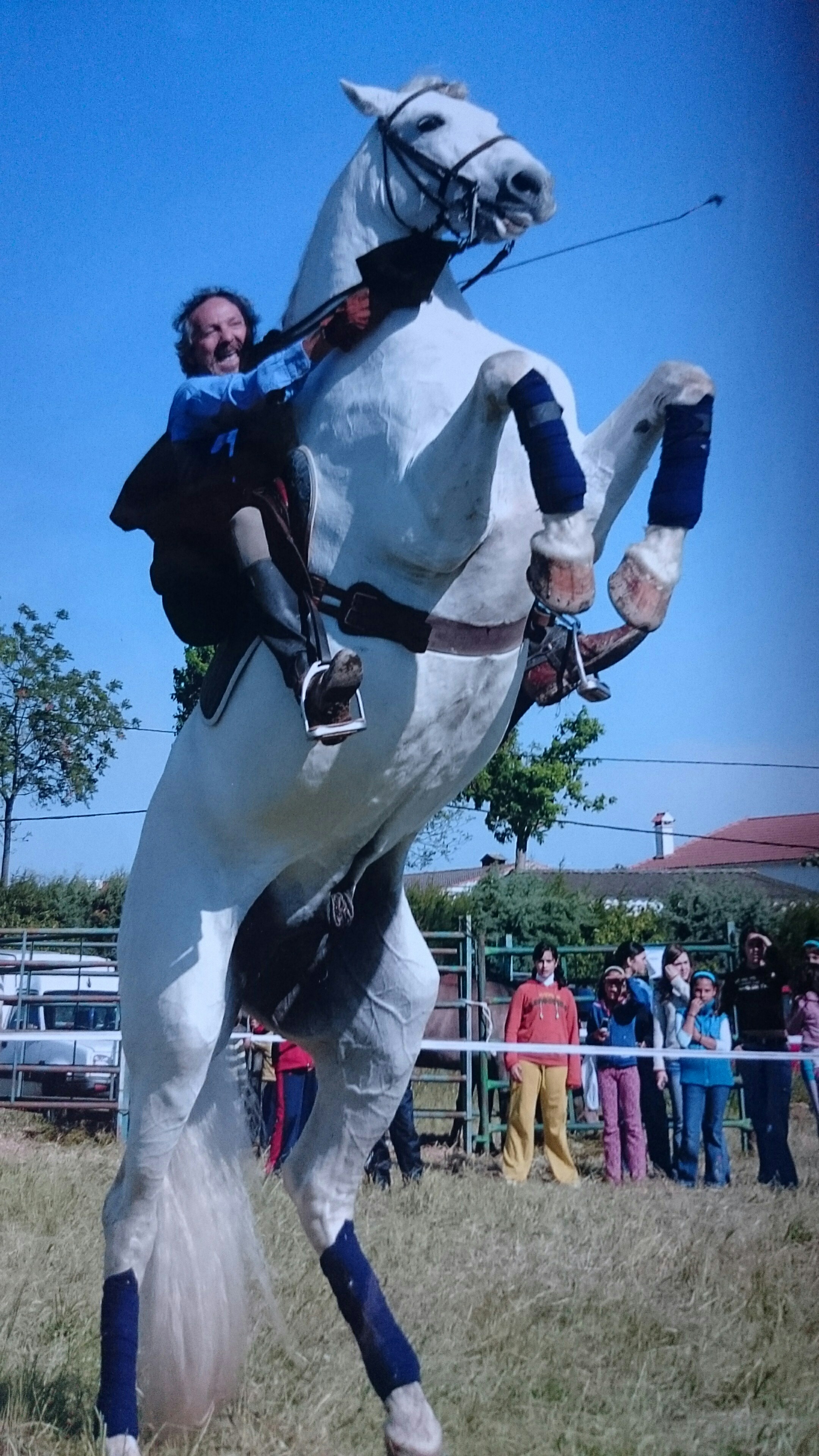 Pintor Galgo a caballo