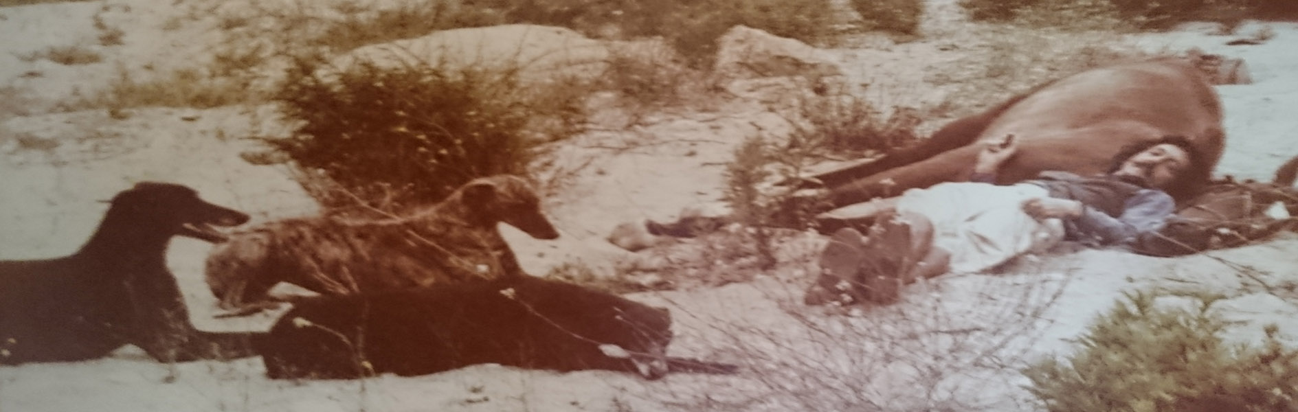 Foto de pie de página del Pintor Galgo